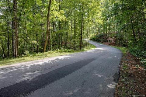 439 Cardinal Dr, Brevard, NC 28712 photo 28
