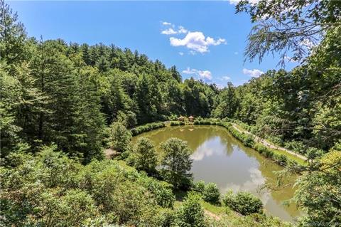 473 Bobcat Mountain Rd, Purlear, NC 28665 photo 3