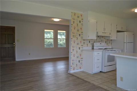 236 Pea Ridge Rd, Mill Spring, NC 28756 photo 13