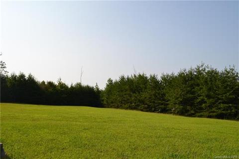 236 Pea Ridge Rd, Mill Spring, NC 28756 photo 20