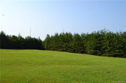 236 Pea Ridge Rd, Mill Spring, NC 28756 photo 19