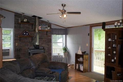 1055 S Fork Rd, Marshall, NC 28753 photo 16