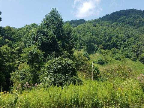 1055 S Fork Rd, Marshall, NC 28753 photo 17