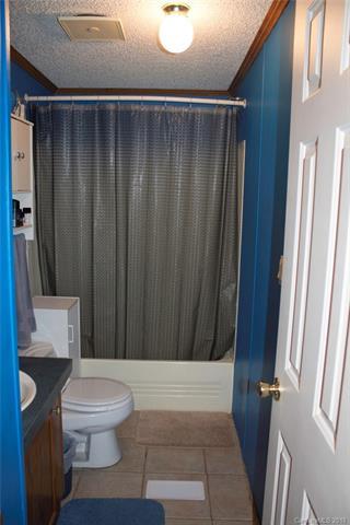 1055 S Fork Rd, Marshall, NC 28753 photo 8
