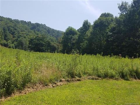 1055 S Fork Rd, Marshall, NC 28753 photo 19