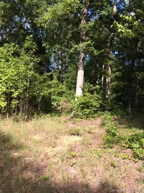 1029 Brian Rd, Clover, SC 29710 photo 1