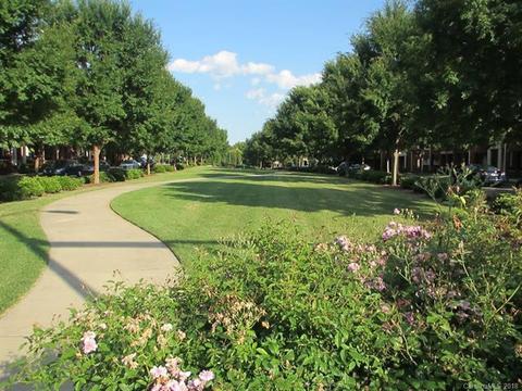558 E 9th St, Charlotte, NC 28202 photo 13