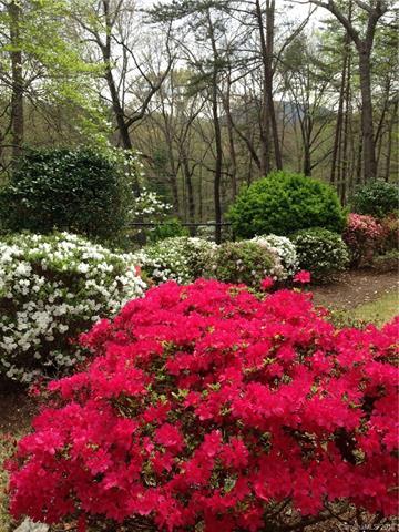 29 Glenwalden Ln, Tryon, NC 28782 photo 22