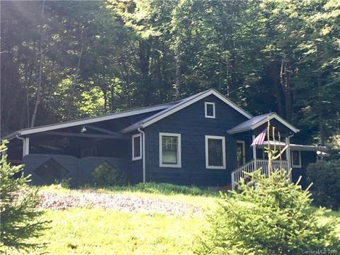 424 Wolf Laurel Rd, Mars Hill, NC 28754 photo 1