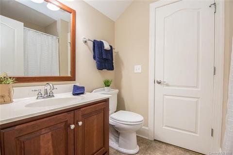 11768 Hidden Forest Ln, Davidson, NC 28036 photo 24