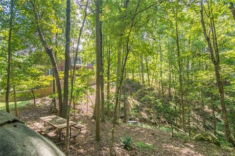 11768 Hidden Forest Ln, Davidson, NC 28036 photo 35