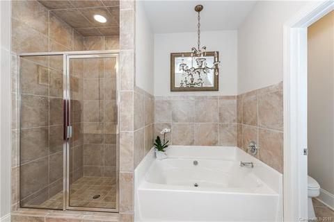 419 O Henry Ave, Davidson, NC 28036 photo 18