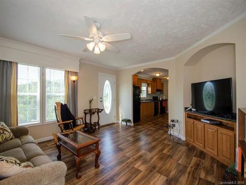 71 Crowdog Trl, Mars Hill, NC 28754 photo 4