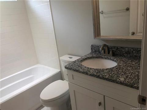3701 Shannon Loop, Denver, NC 28037 photo 19