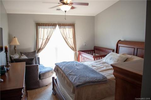 9033 Mcdowell Creek Ct, Cornelius, NC 28031 photo 6