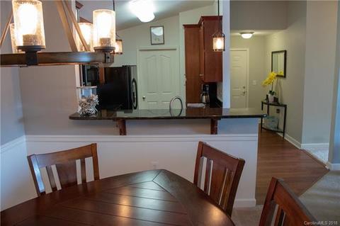 9033 Mcdowell Creek Ct, Cornelius, NC 28031 photo 12