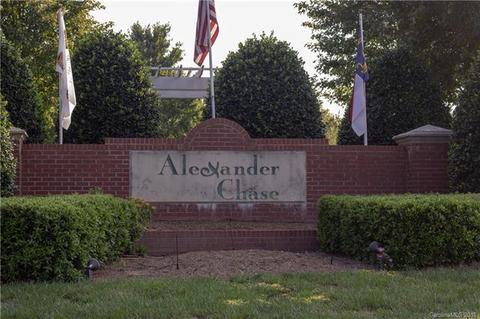 9033 Mcdowell Creek Ct, Cornelius, NC 28031 photo 22