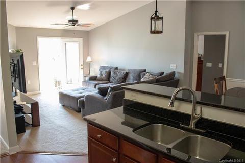 9033 Mcdowell Creek Ct, Cornelius, NC 28031 photo 20