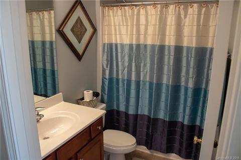 9033 Mcdowell Creek Ct, Cornelius, NC 28031 photo 5