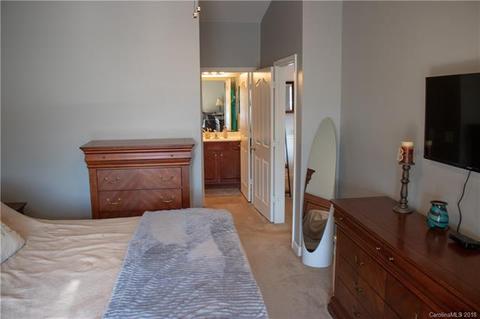 9033 Mcdowell Creek Ct, Cornelius, NC 28031 photo 9