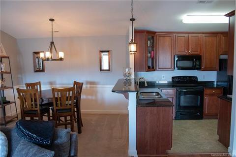 9033 Mcdowell Creek Ct, Cornelius, NC 28031 photo 13