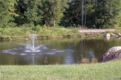 9033 Mcdowell Creek Ct, Cornelius, NC 28031 photo 23