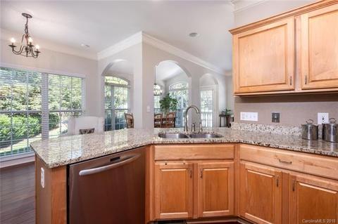 9831 Willow Leaf Ln, Cornelius, NC 28031 photo 10