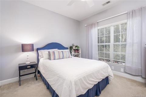9831 Willow Leaf Ln, Cornelius, NC 28031 photo 20