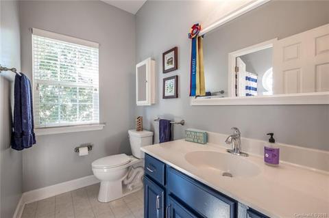 9831 Willow Leaf Ln, Cornelius, NC 28031 photo 22