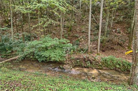 1227 Old Fort Rd, Fairview, NC 28730 photo 5