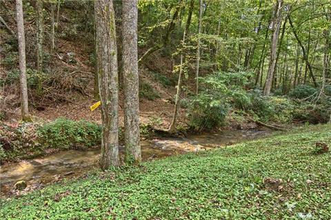 1227 Old Fort Rd, Fairview, NC 28730 photo 4