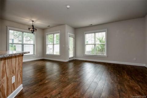 315 Davidson Gateway Dr, Davidson, NC 28036 photo 3