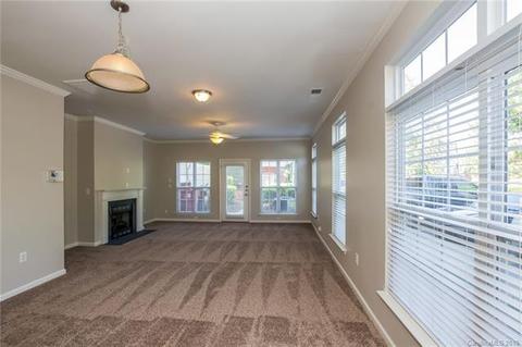 270 Davidson Gateway Dr, Davidson, NC 28036 photo 10