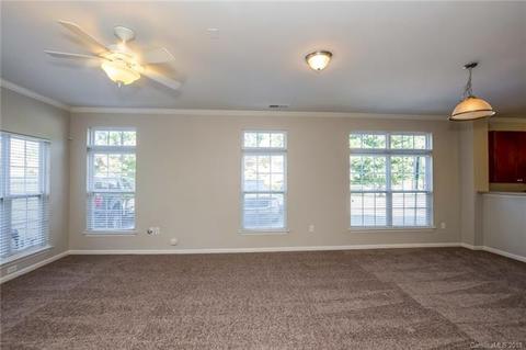 270 Davidson Gateway Dr, Davidson, NC 28036 photo 6