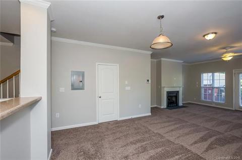 270 Davidson Gateway Dr, Davidson, NC 28036 photo 9