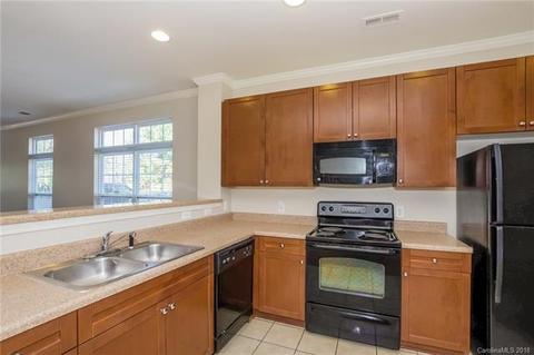 270 Davidson Gateway Dr, Davidson, NC 28036 photo 12