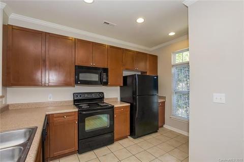 270 Davidson Gateway Dr, Davidson, NC 28036 photo 13