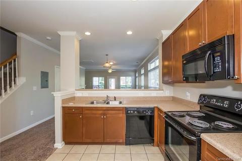 270 Davidson Gateway Dr, Davidson, NC 28036 photo 3