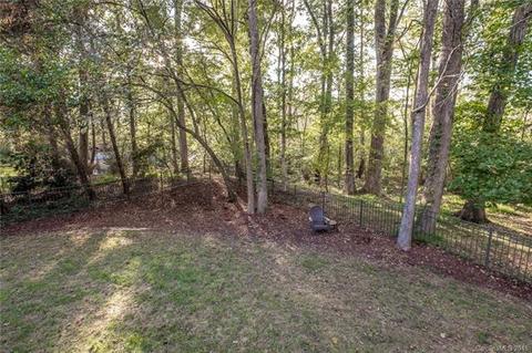 18846 Dembridge Dr, Davidson, NC 28036 photo 34