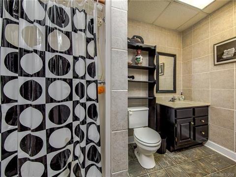 284 Caring Place Loop, Clyde, NC 28721 photo 23