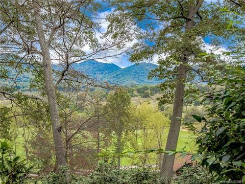 284 Caring Place Loop, Clyde, NC 28721 photo 20