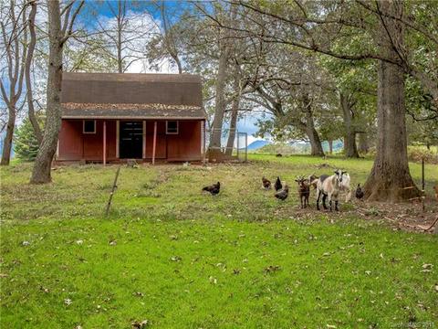 284 Caring Place Loop, Clyde, NC 28721 photo 15