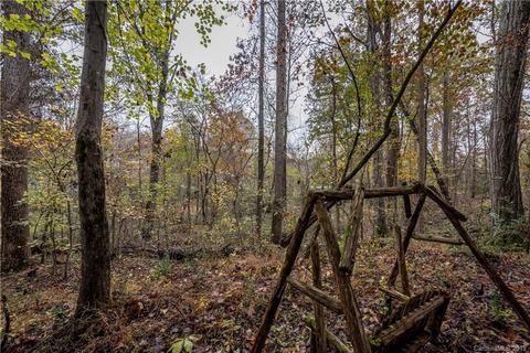 2100 Davis Rd, Davidson, NC 28036 photo 9