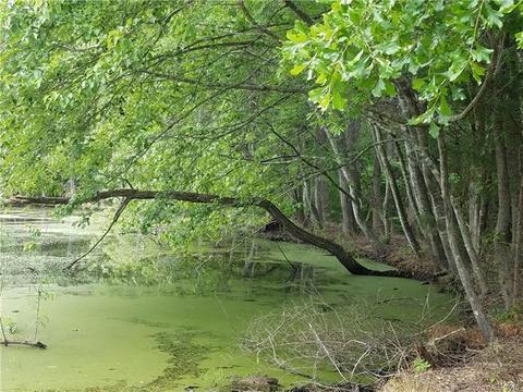 3075 Heavenly Path, Locust, NC 28097 photo 7