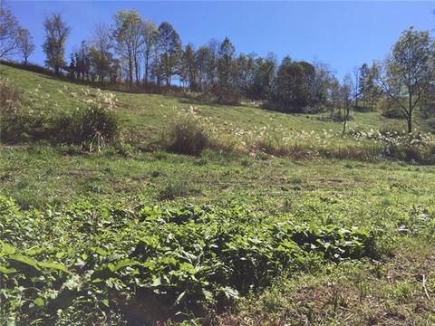 454 Bone Camp Rd, Marshall, NC 28753 photo 5