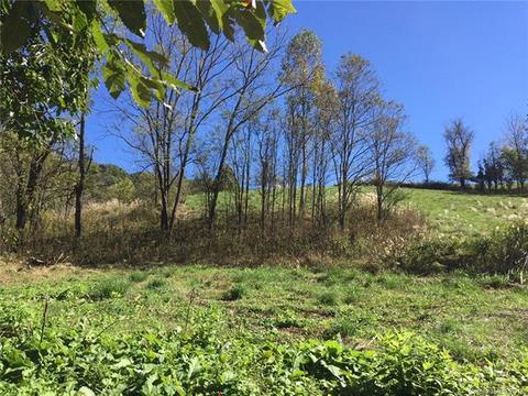 454 Bone Camp Rd, Marshall, NC 28753 photo 6
