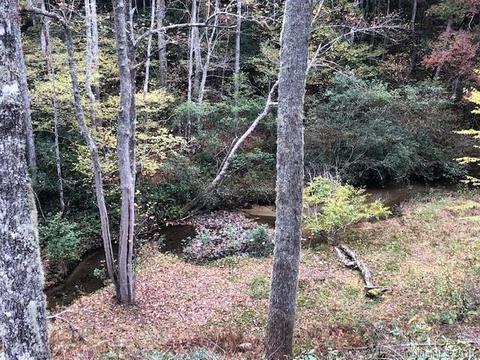 77 Deer Chase Rd, Cedar Mountain, NC 28718 photo 17