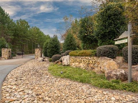 288 Stonecrest Pkwy, Mill Spring, NC 28756 photo 25
