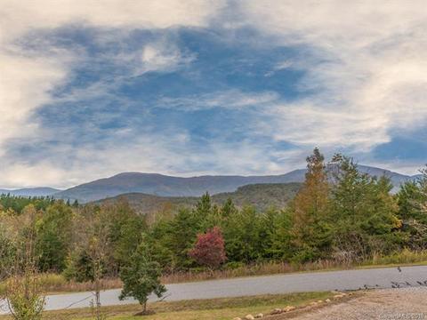 288 Stonecrest Pkwy, Mill Spring, NC 28756 photo 3