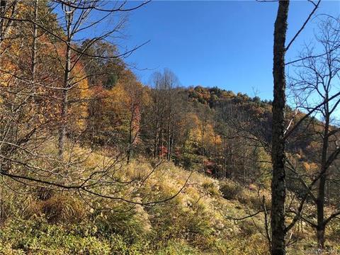 2655 E Fork Rd, Marshall, NC 28753 photo 29